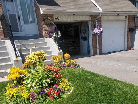 46 Lincoln Crt, Townhouse with 3 bedrooms, 2 bathrooms and 2 parking in Brampton ON | Card Image