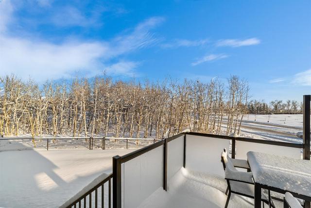 113 Savanna Close Ne, House detached with 7 bedrooms, 5 bathrooms and 4 parking in Calgary AB | Image 44