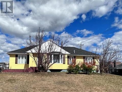 401 Nascopie Avenue, House detached with 3 bedrooms, 2 bathrooms and null parking in Labrador City NL | Card Image