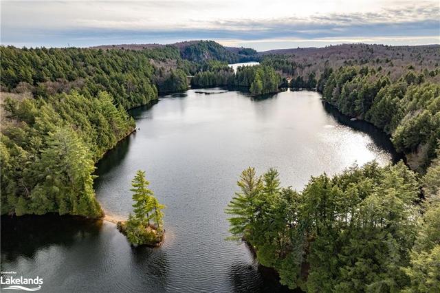 3117 Limberlost Road, House detached with 3 bedrooms, 1 bathrooms and 10 parking in Lake of Bays ON | Image 50