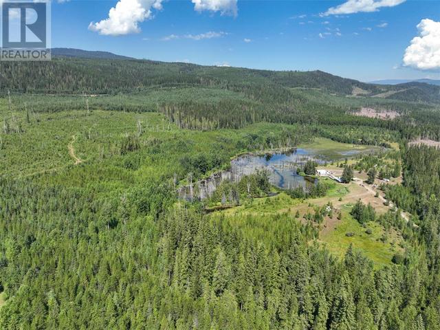 650 Trinity Valley Road, House detached with 3 bedrooms, 1 bathrooms and 10 parking in North Okanagan D BC | Image 49