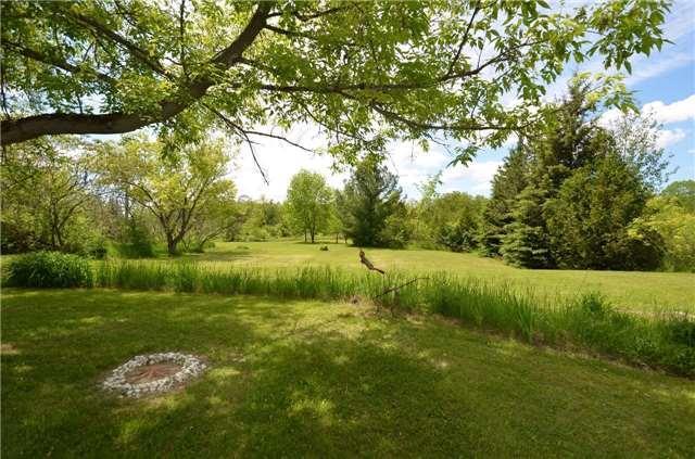 291 County Road 30, House detached with 4 bedrooms, 2 bathrooms and 10 parking in Kawartha Lakes ON | Image 20