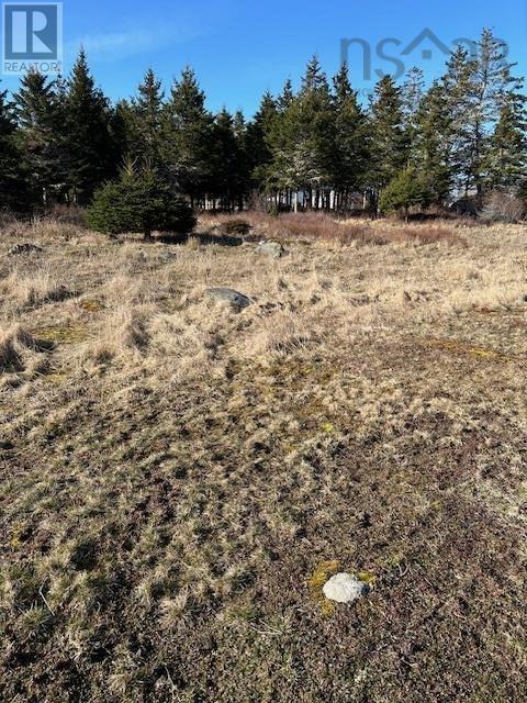 1539 Highway 330, House detached with 4 bedrooms, 1 bathrooms and null parking in Barrington NS | Image 9