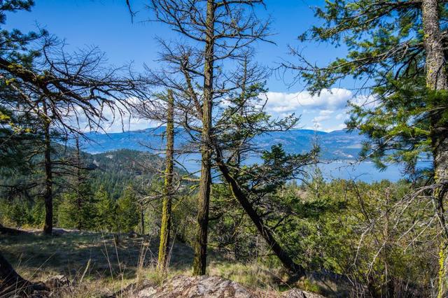 0000 Eastside Road, Home with 0 bedrooms, 0 bathrooms and null parking in Vernon BC | Image 24