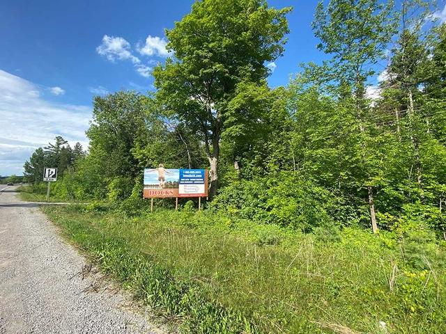 0 Highway 35 N, Home with 0 bedrooms, 0 bathrooms and null parking in Kawartha Lakes ON | Image 13