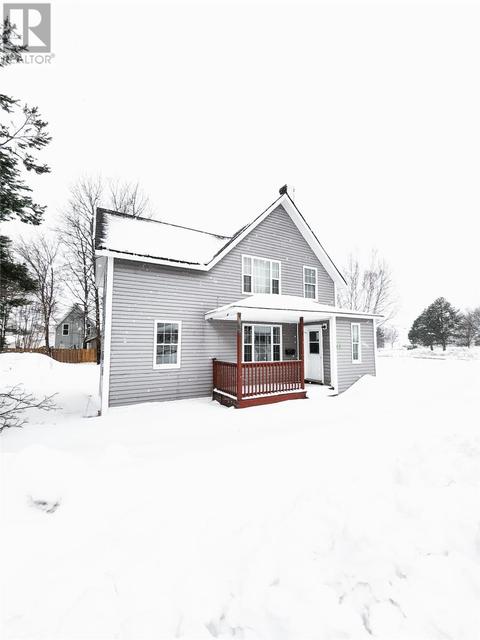 49 Beaumont Avenue, House other with 4 bedrooms, 2 bathrooms and null parking in Grand Falls-Windsor NL | Card Image