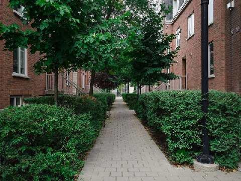 th528 - 10 Douro St, Townhouse with 3 bedrooms, 2 bathrooms and 1 parking in Toronto ON | Image 2