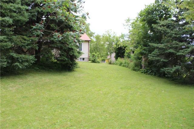 1037 Elgin St, House detached with 3 bedrooms, 1 bathrooms and 1 parking in Newmarket ON | Image 5