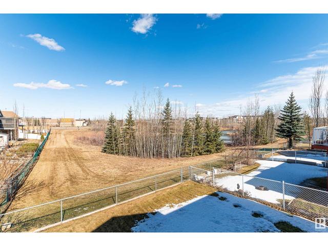 348 Wild Rose Wy Nw, House detached with 3 bedrooms, 3 bathrooms and null parking in Edmonton AB | Image 51