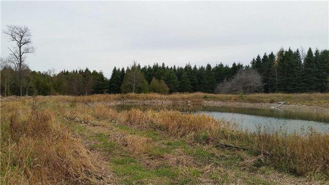 lt #12 - lot 17 4th Line, Home with 0 bedrooms, 0 bathrooms and null parking in Melancthon ON | Image 1