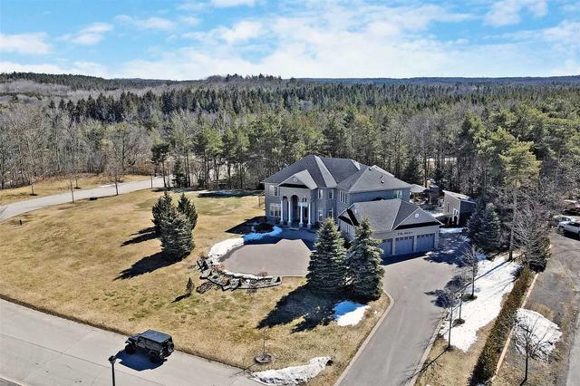 2 Pine Hills Crt, House detached with 5 bedrooms, 5 bathrooms and 28 parking in East Gwillimbury ON | Image 23