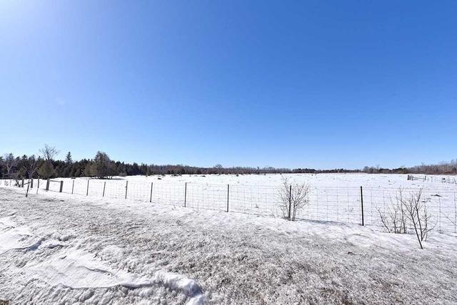 0 Palestine Rd, Home with 0 bedrooms, 0 bathrooms and null parking in Kawartha Lakes ON | Image 20