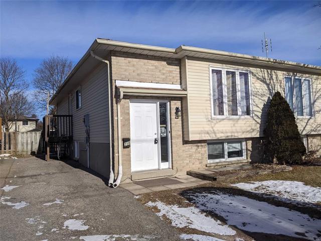 bsmt - 218 Taunton Rd W, House semidetached with 1 bedrooms, 1 bathrooms and 1 parking in Oshawa ON | Image 1