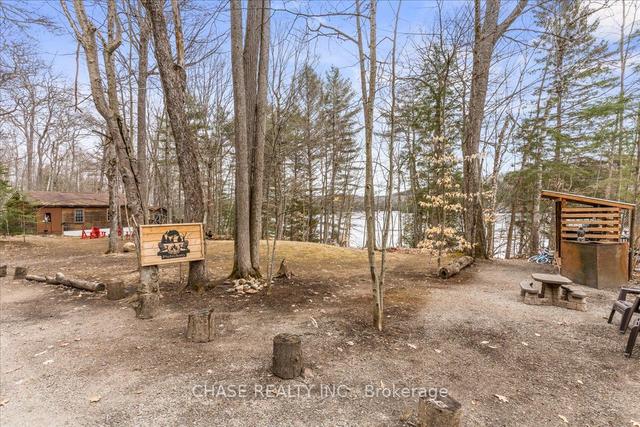 2076 Little Hawk Lake Rd, House detached with 2 bedrooms, 1 bathrooms and 11 parking in Algonquin Highlands ON | Image 36
