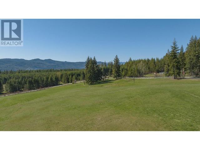 6197 Line 17 Road, House detached with 3 bedrooms, 2 bathrooms and 20 parking in Columbia Shuswap F BC | Image 41