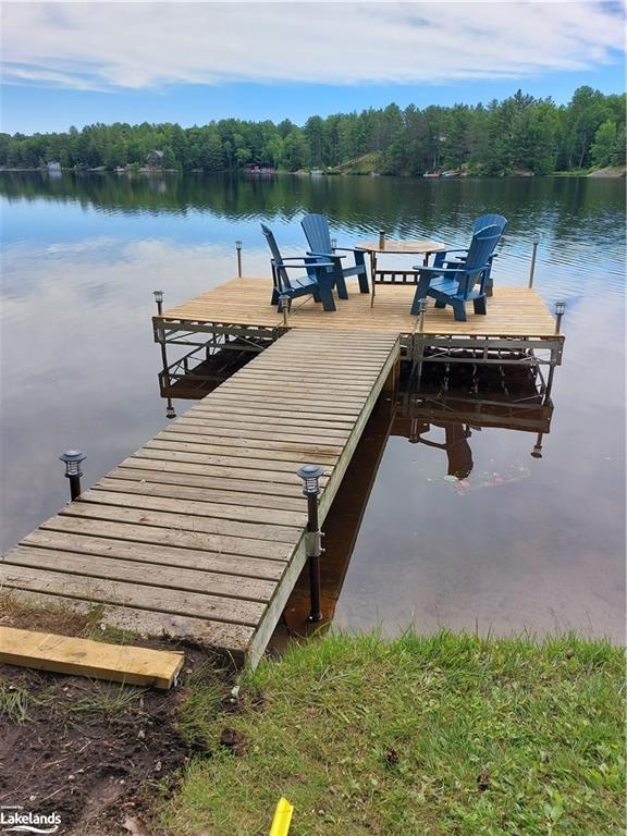 Summer picture with dock in | Image 24