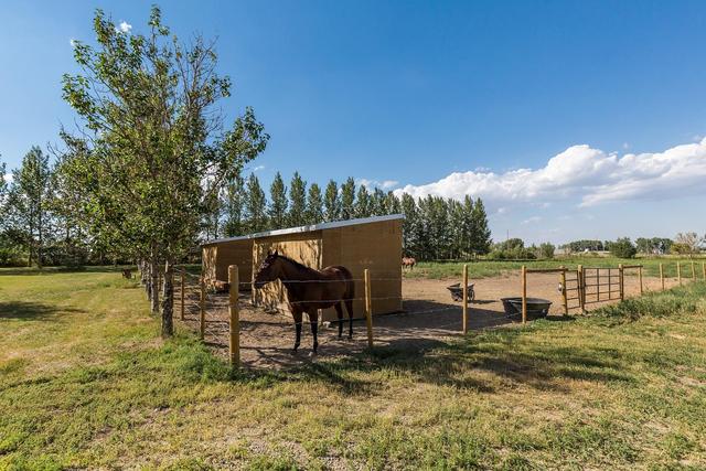 95037 Range Road 213a, House detached with 5 bedrooms, 5 bathrooms and 2 parking in Lethbridge County AB | Image 46