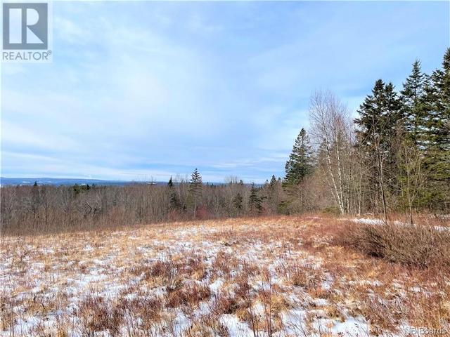 000 St. David Ridge Road, Home with 0 bedrooms, 0 bathrooms and null parking in Saint David NB | Image 9