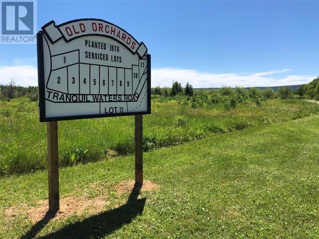 lot9 Upper Tanquil Waters Road, Home with 0 bedrooms, 0 bathrooms and null parking in Reidville NL | Image 1