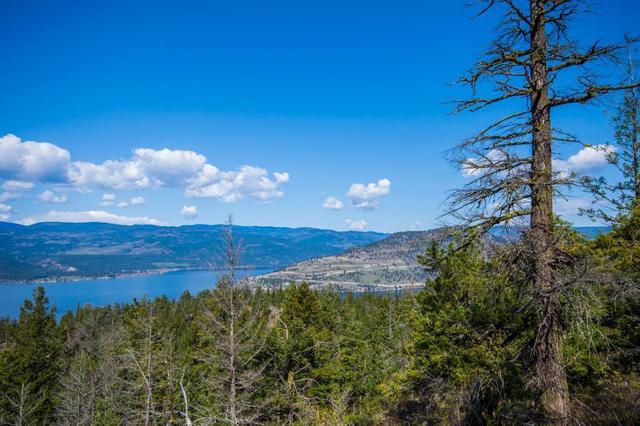 0000 Eastside Road, Home with 0 bedrooms, 0 bathrooms and null parking in Vernon BC | Image 26