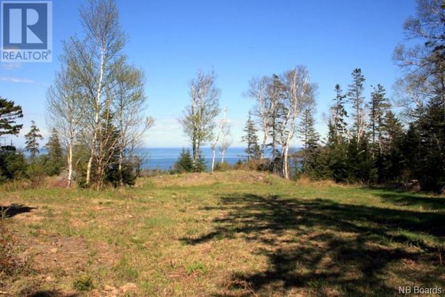 00 Whistle Road, Home with 0 bedrooms, 0 bathrooms and null parking in Grand Manan NB | Image 13