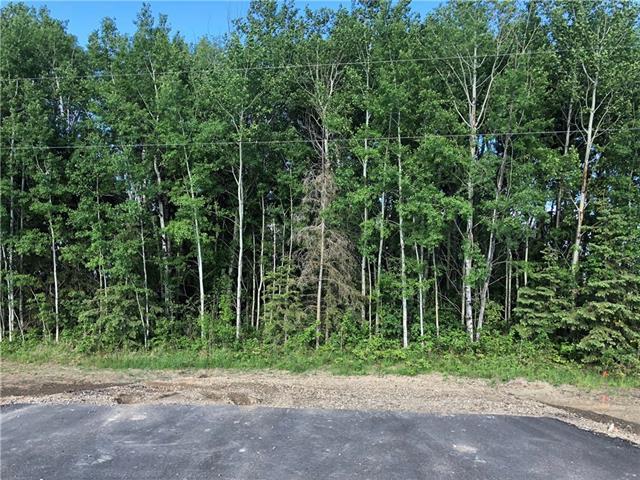 lot 9 Campsite Road, Home with 0 bedrooms, 0 bathrooms and null parking in Lac la Biche County AB | Image 5