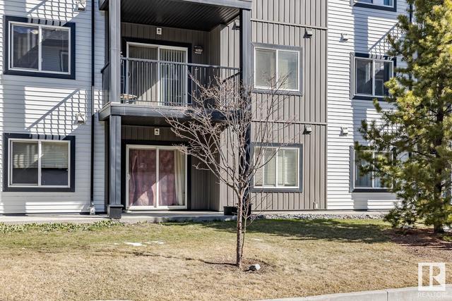 103 - 3353 16a Av Nw, Condo with 2 bedrooms, 2 bathrooms and null parking in Edmonton AB | Image 31