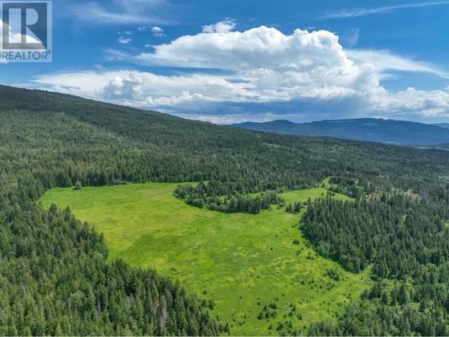 8199 Mclennan Road, Home with 0 bedrooms, 0 bathrooms and null parking in Spallumcheen BC | Image 2