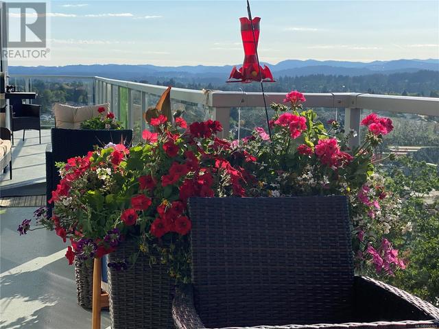 Flowers and Hummingbirds love it here. | Image 44