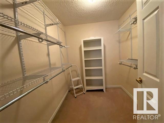 117 - 9535 176 St Nw, Condo with 2 bedrooms, 2 bathrooms and 1 parking in Edmonton AB | Image 22