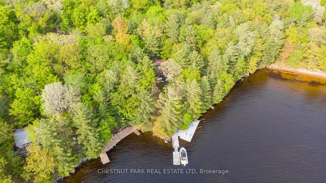 1350 Browning Island, House detached with 3 bedrooms, 1 bathrooms and 0 parking in Bracebridge ON | Image 14