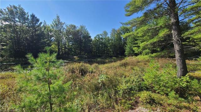 00 Burke Settlement Road, Home with 0 bedrooms, 0 bathrooms and null parking in Central Frontenac ON | Image 36