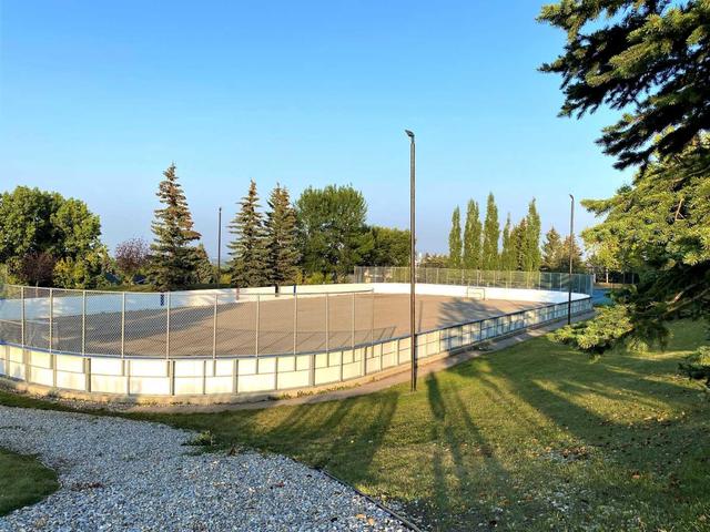 Skating rink | Image 50