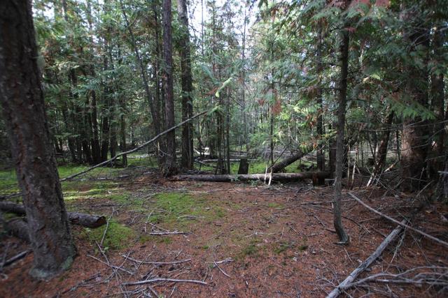 lot 9 Clark Road, Home with 0 bedrooms, 0 bathrooms and null parking in Central Kootenay K BC | Image 10