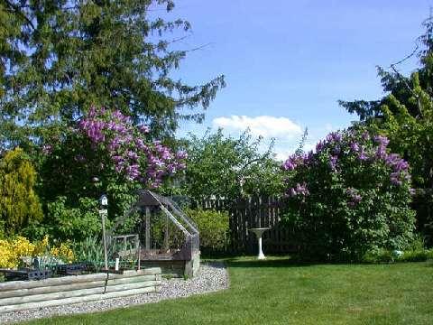 638 Forsyth Ave, House detached with 3 bedrooms, 2 bathrooms and 5 parking in Parksville BC | Image 5