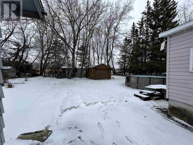 407 Atwood Ave, House detached with 3 bedrooms, 2 bathrooms and null parking in Dawson ON | Image 8