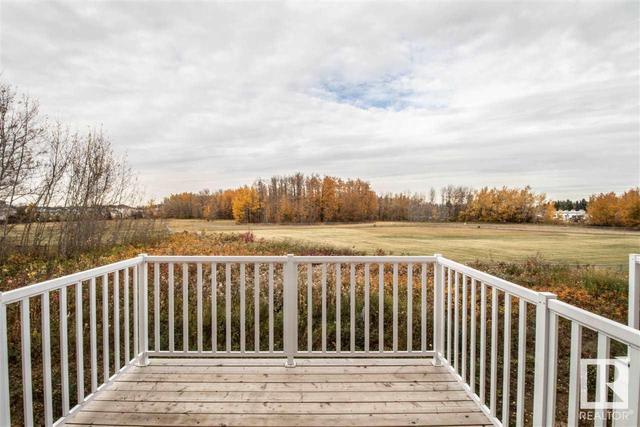 39 - 320 Secord Bv Nw, House attached with 2 bedrooms, 2 bathrooms and null parking in Edmonton AB | Image 21
