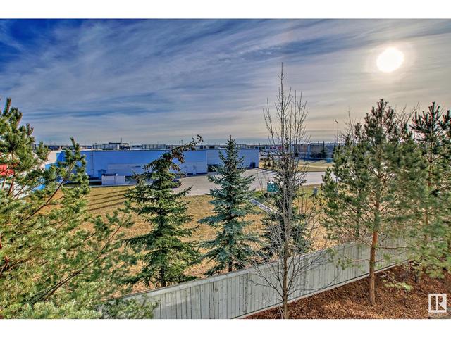 305 - 2203 44 Av Nw Nw, Condo with 2 bedrooms, 2 bathrooms and null parking in Edmonton AB | Image 22
