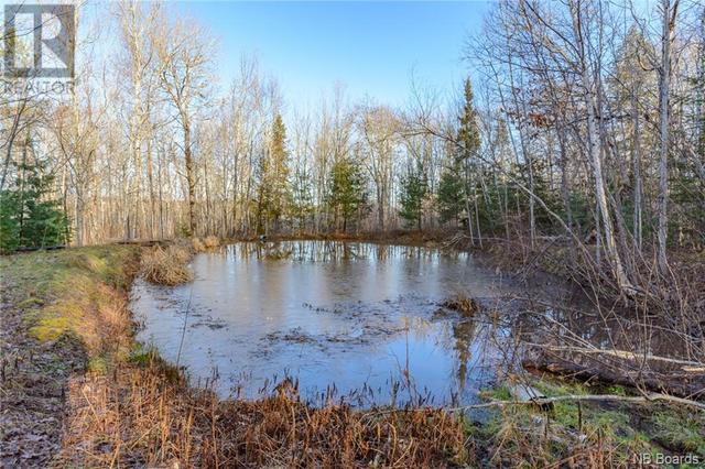 2162 Waterside Drive, House detached with 3 bedrooms, 1 bathrooms and null parking in Cambridge Narrows NB | Image 25