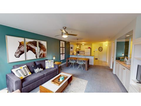 3011a - 5052 Riverview Road, Condo with 1 bedrooms, 1 bathrooms and null parking in East Kootenay F BC | Card Image