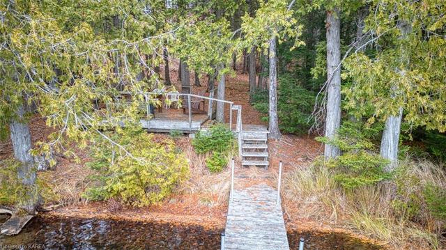 1141c Grindstone Lake Road, House detached with 4 bedrooms, 1 bathrooms and 9 parking in North Frontenac ON | Image 35