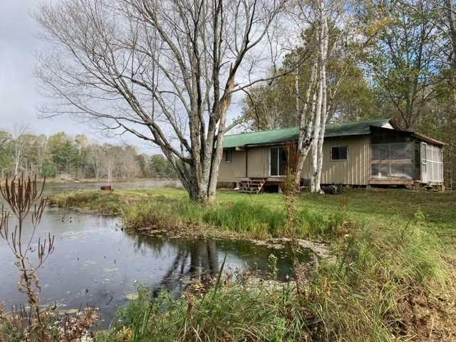 1558 Sandy Lake Rd, Home with 3 bedrooms, 1 bathrooms and 4 parking in Havelock Belmont Methuen ON | Image 12