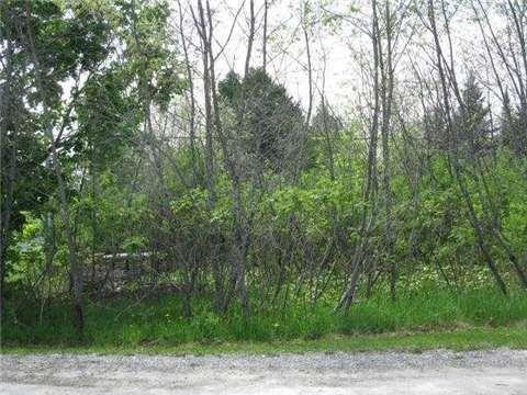 lot 9 Hargrave Rd, Home with 0 bedrooms, 0 bathrooms and null parking in Kawartha Lakes ON | Image 2