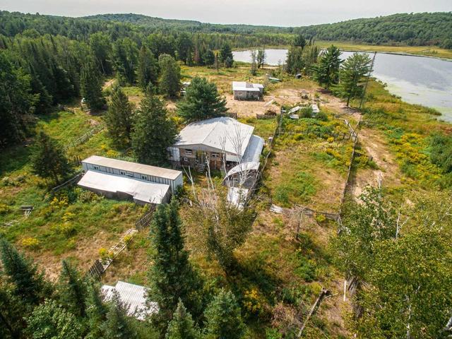 2337 Paugh Lake Rd, House detached with 3 bedrooms, 2 bathrooms and 18 parking in Madawaska Valley ON | Image 4