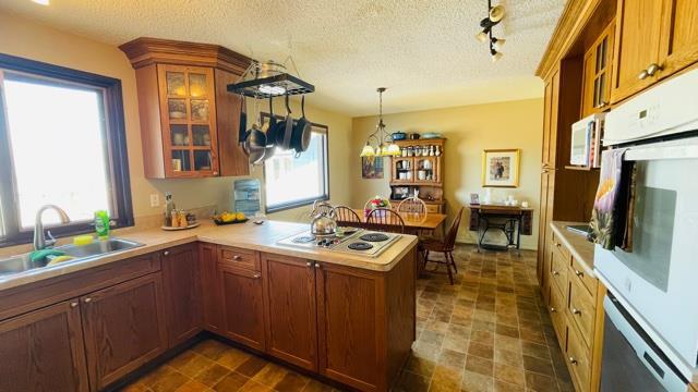 1408 Newcastle Trail, House detached with 5 bedrooms, 3 bathrooms and 4 parking in Drumheller AB | Image 6