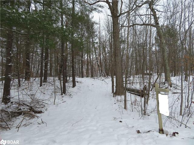 000 Musquash Road, Home with 0 bedrooms, 0 bathrooms and null parking in Gravenhurst ON | Image 2