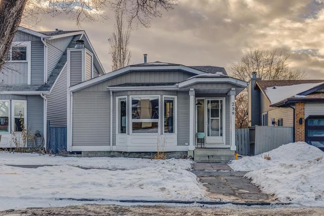 239 Deerview Drive Se, House detached with 4 bedrooms, 2 bathrooms and 3 parking in Calgary AB | Image 11