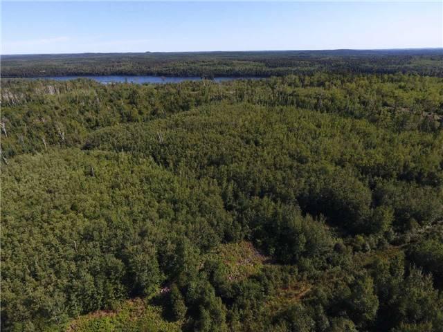 00 Flavelle Twp, Home with 0 bedrooms, null bathrooms and null parking in Timiskaming, Unorganized, West Part ON | Image 14