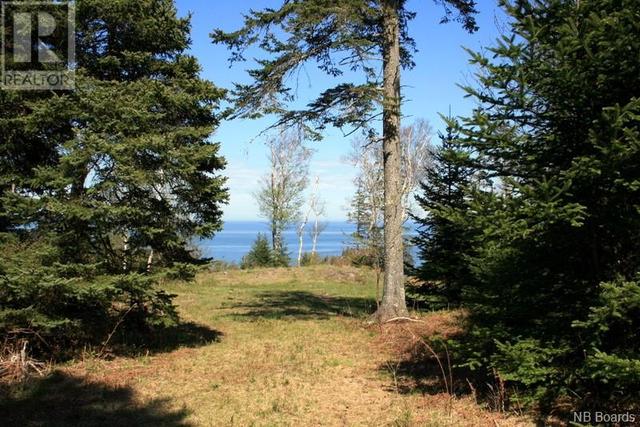00 Whistle Road, Home with 0 bedrooms, 0 bathrooms and null parking in Grand Manan NB | Image 11