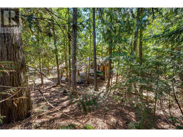 661 Park Road, House detached with 3 bedrooms, 2 bathrooms and 8 parking in Columbia Shuswap D BC | Image 44